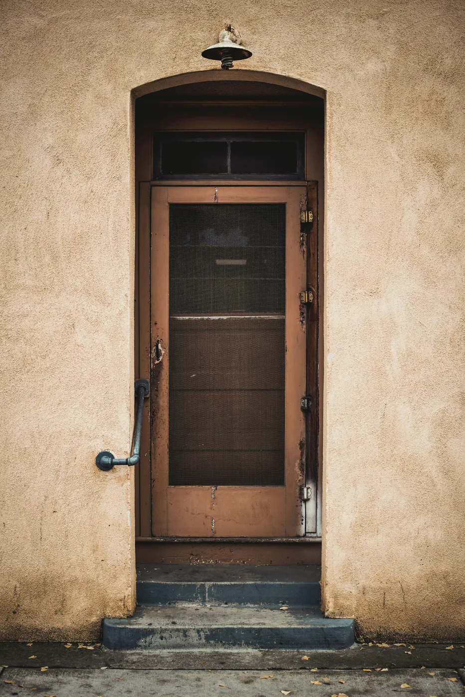 A framed mosquito net door on a garden-facing doorway