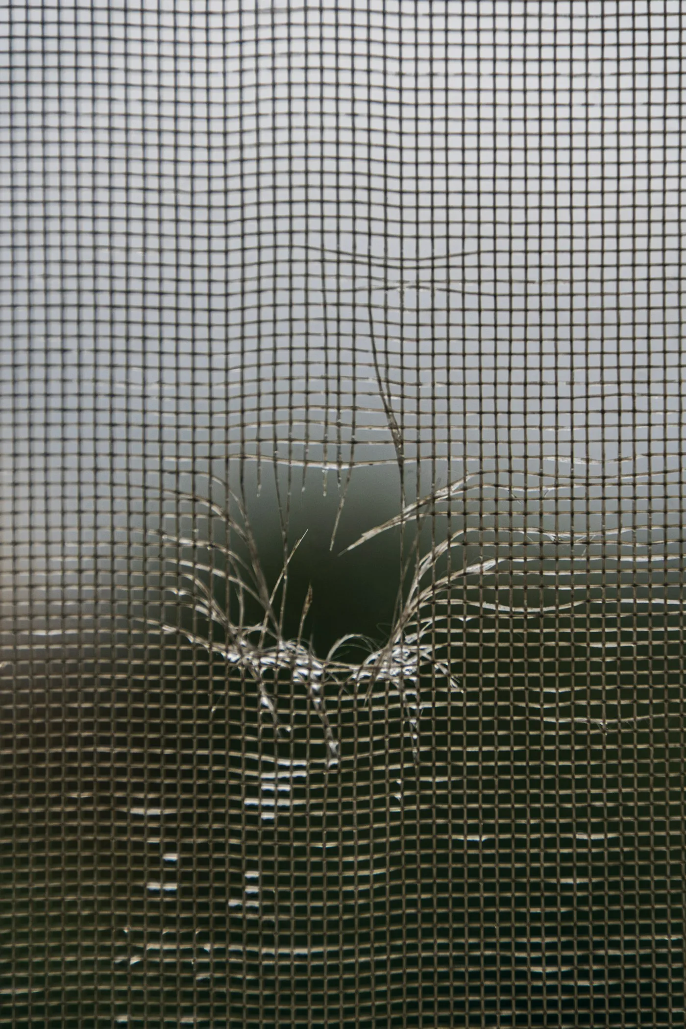 A close-up of torn insect mesh with a hole in it