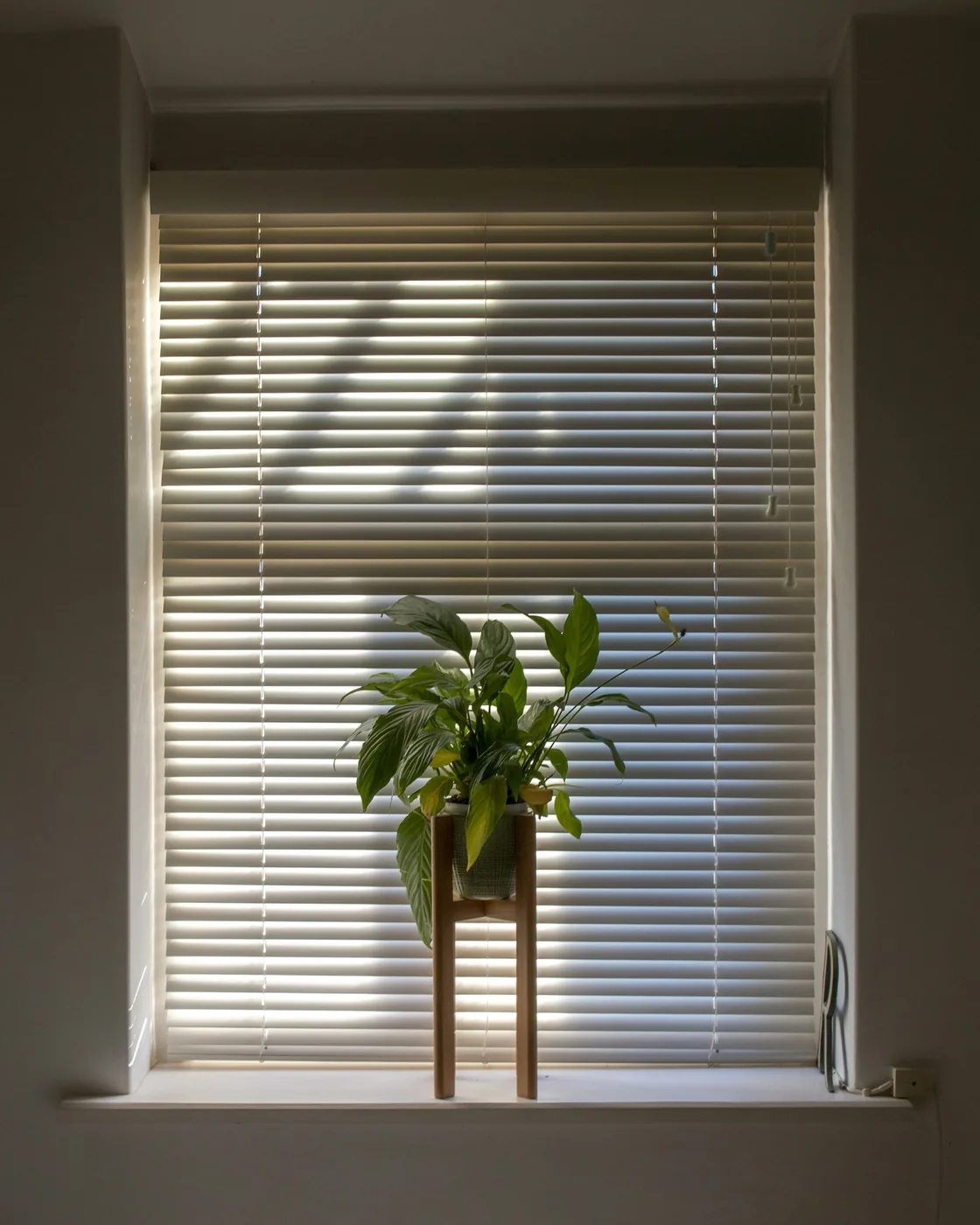 Aluminium venetian blinds tilted to control daylight on office windows