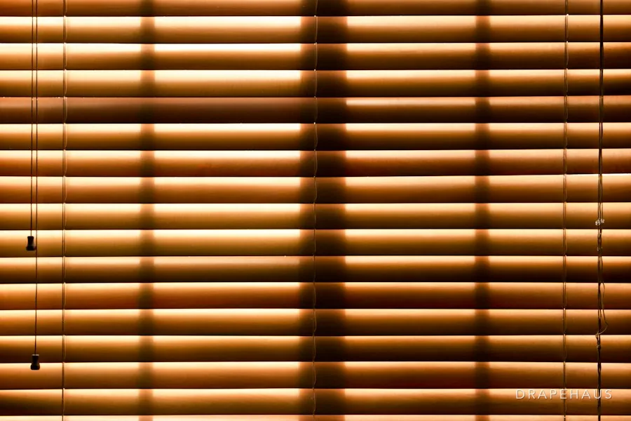 Wooden venetian blind at a window in a Goan home