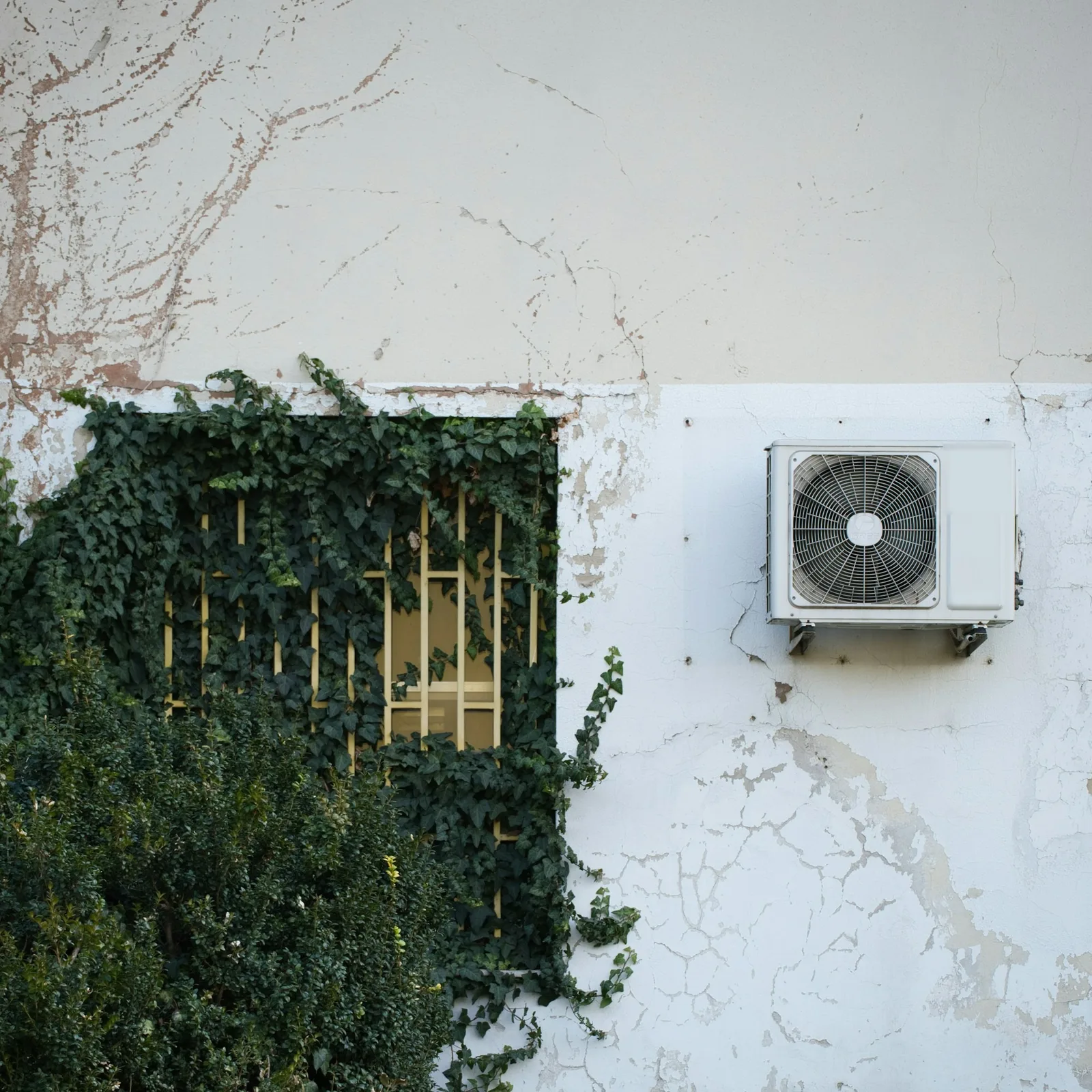 An outdoor air-conditioning unit fixed to a cracked, peeling old wall beside an ivy-covered barred window
