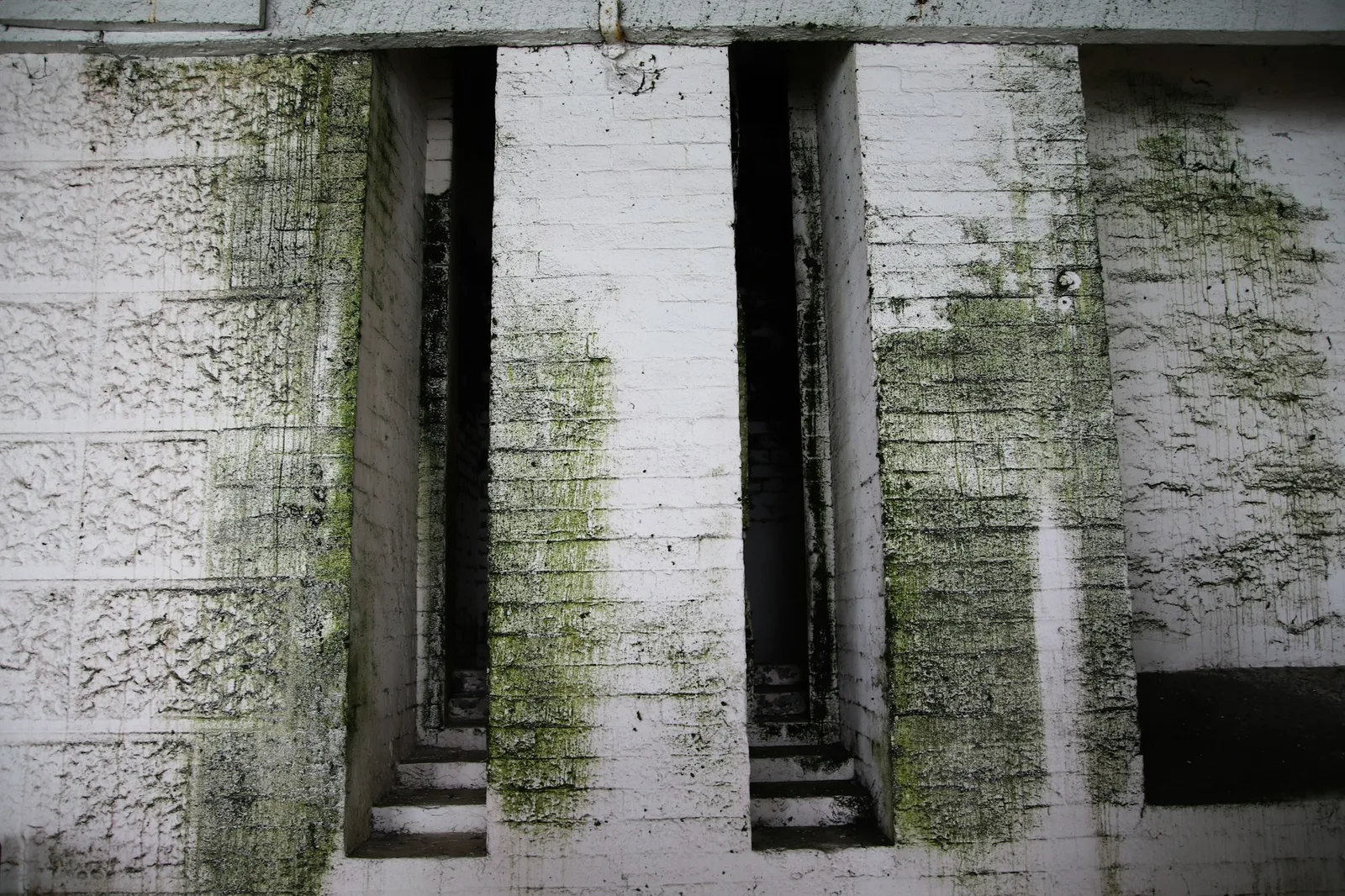 Green algae streaking down a whitewashed exterior wall between recessed concrete piers