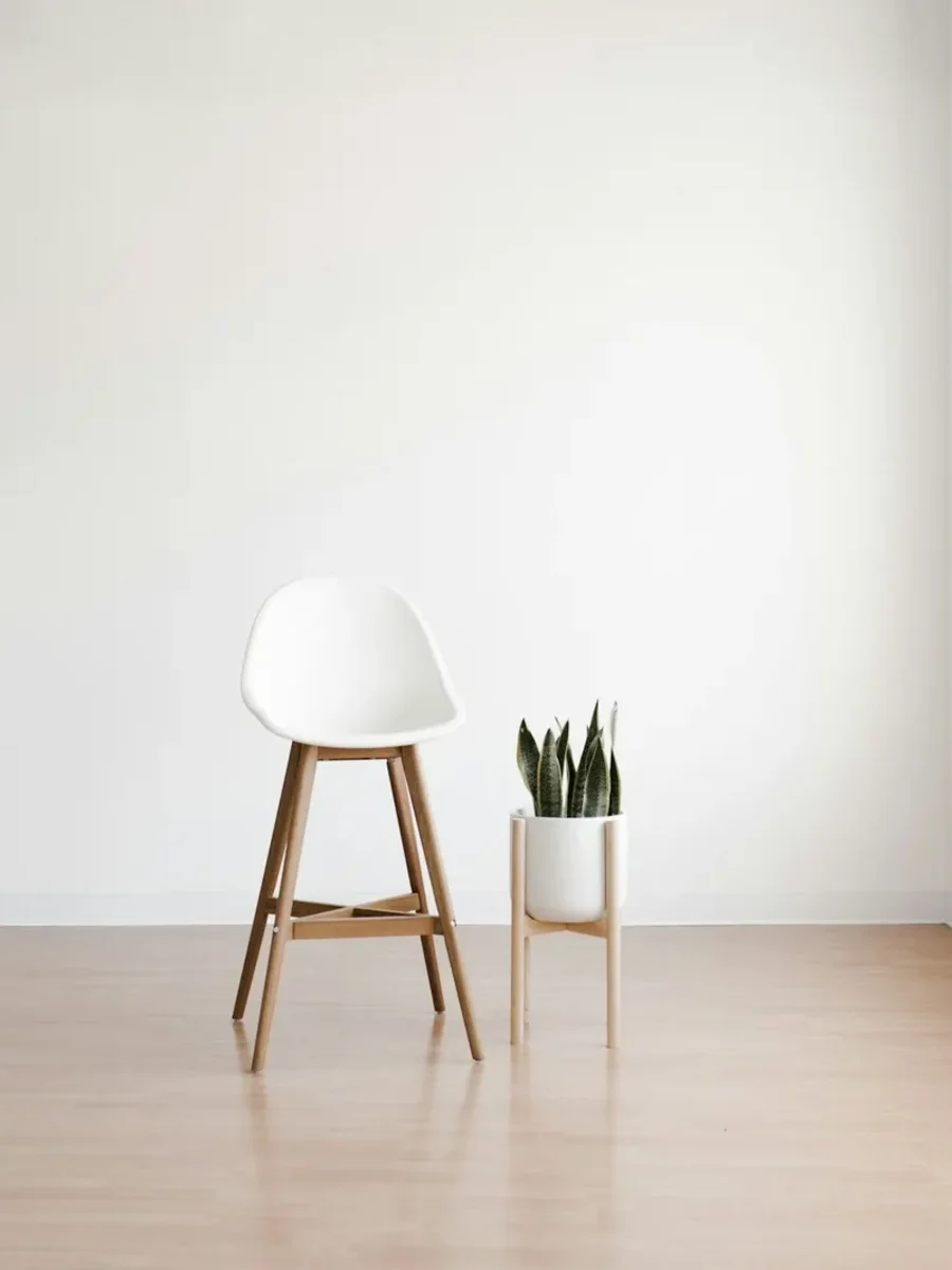 Bare white room with a wooden stepladder, a white stool and a potted snake plant