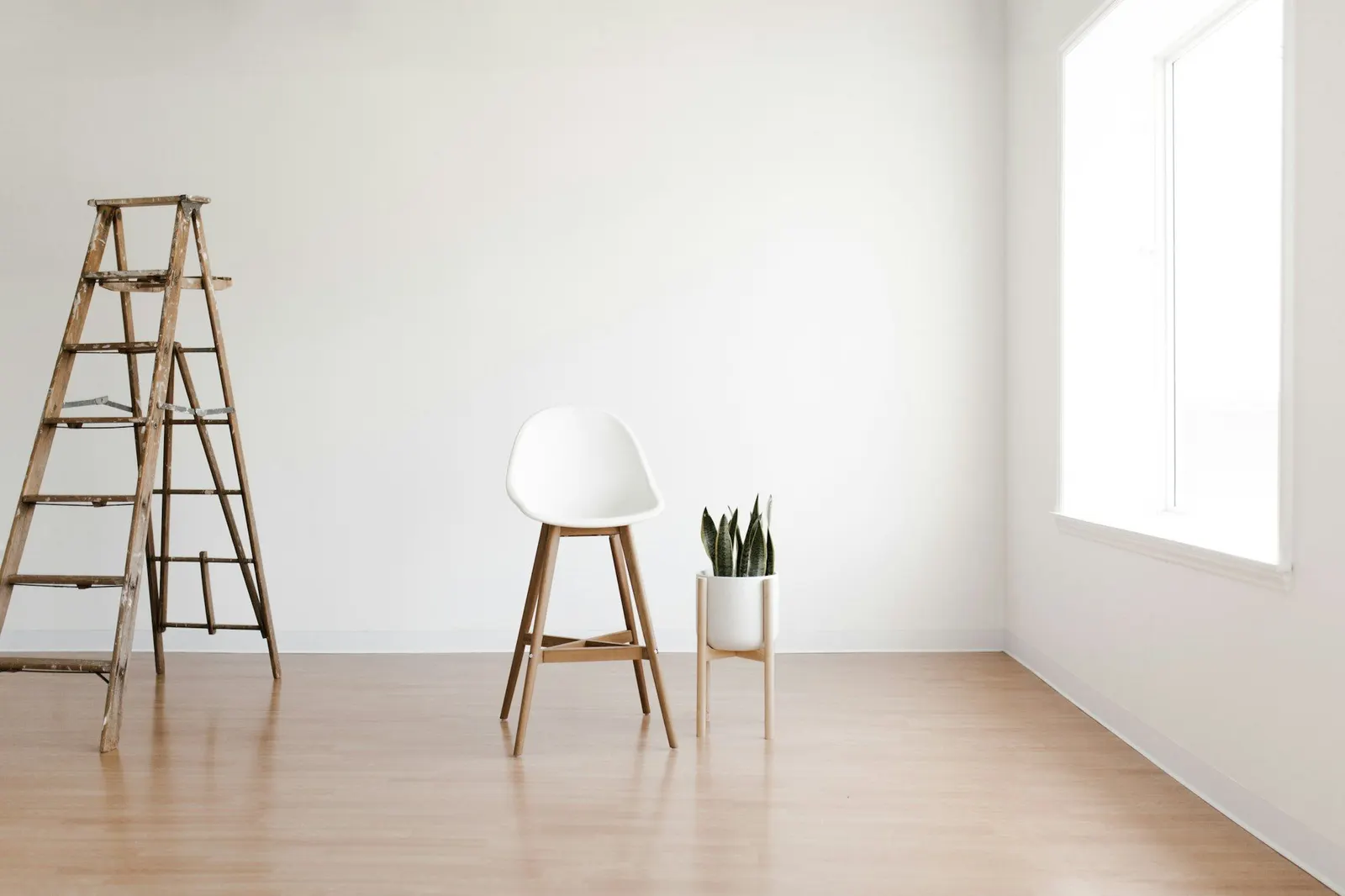 Bare white room with a wooden stepladder, a white stool and a potted snake plant