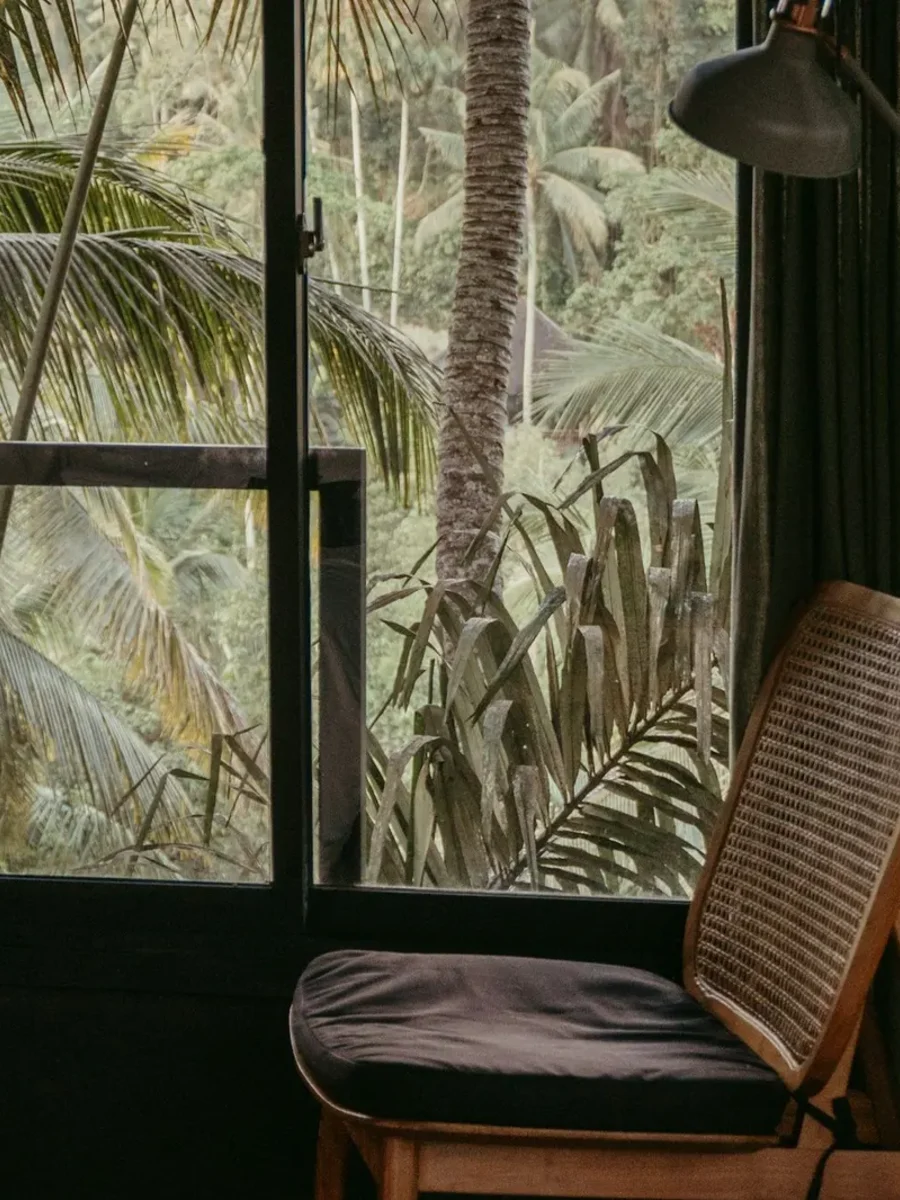 Quiet dim room with a cane chair and floor lamp beside a window onto palms