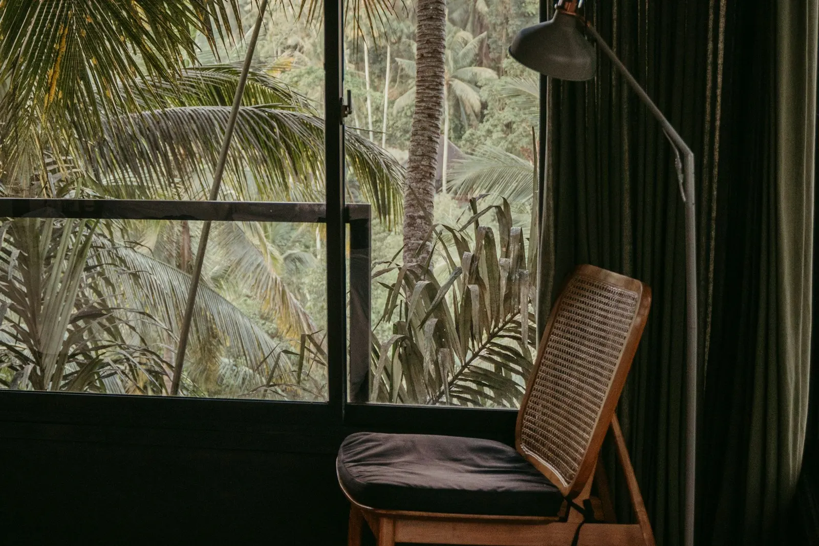 Quiet dim room with a cane chair and floor lamp beside a window onto palms