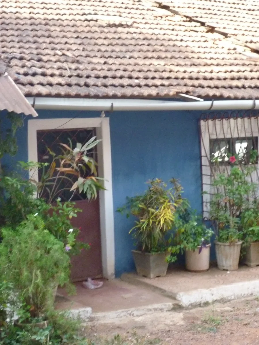 A sloping clay-tiled roof over a blue Fontainhas cottage fronted by a row of potted plants
