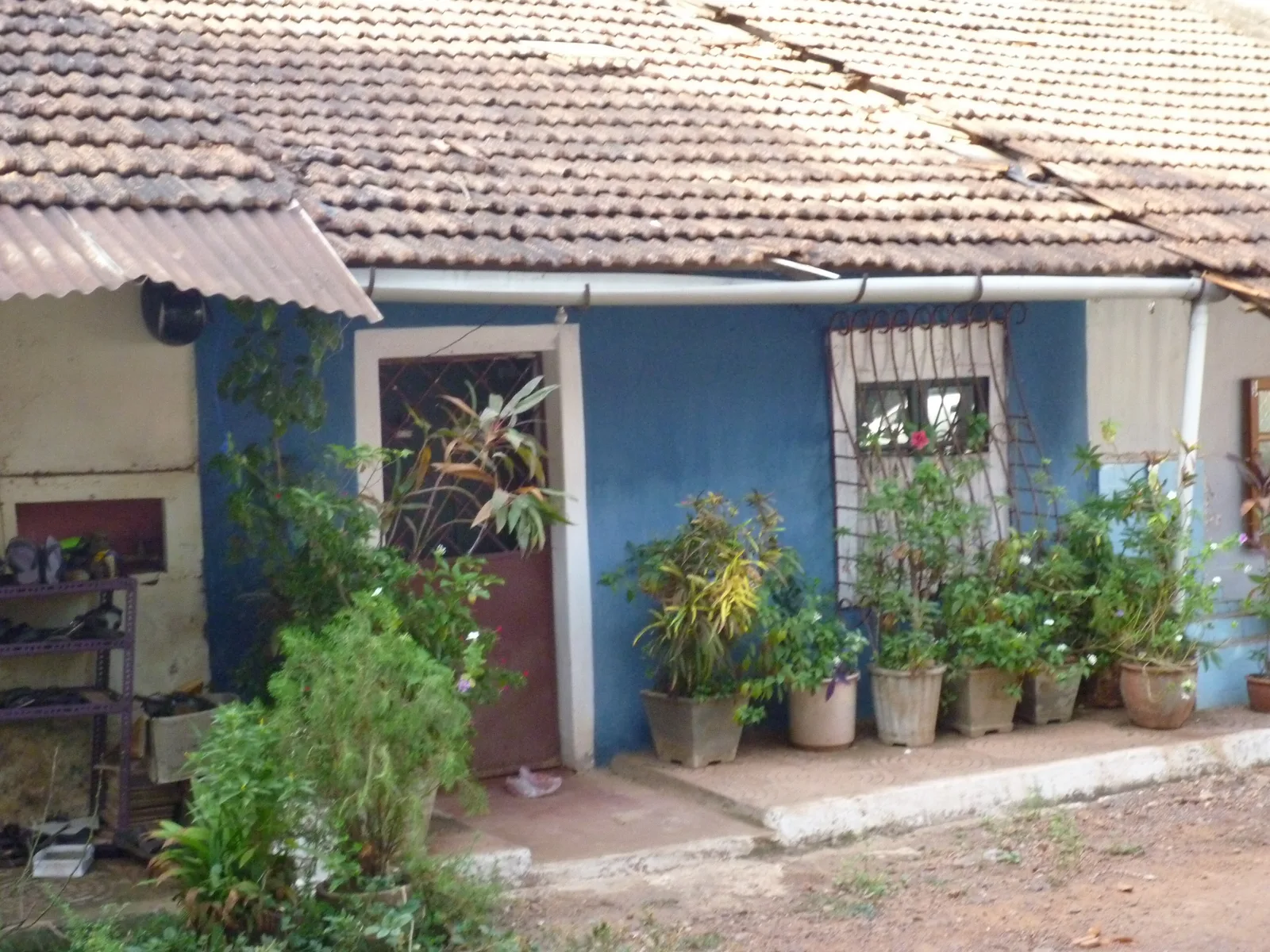 A sloping clay-tiled roof over a blue Fontainhas cottage fronted by a row of potted plants
