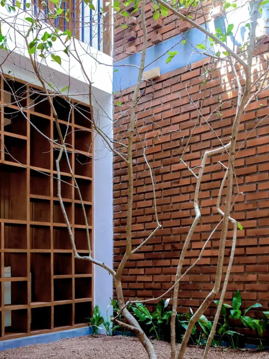 Small open courtyard with a slender tree, exposed brick wall and timber lattice shelving