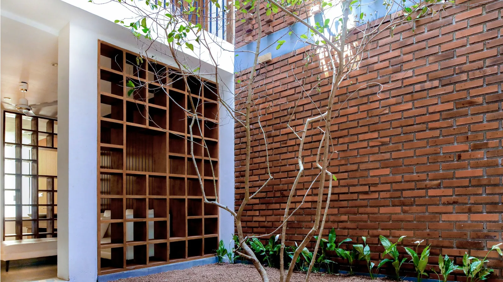 Small open courtyard with a slender tree, exposed brick wall and timber lattice shelving