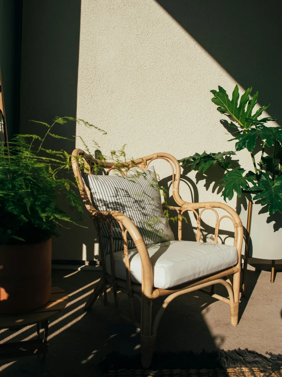 A rattan armchair with a striped cushion beside potted plants in warm late-afternoon sun