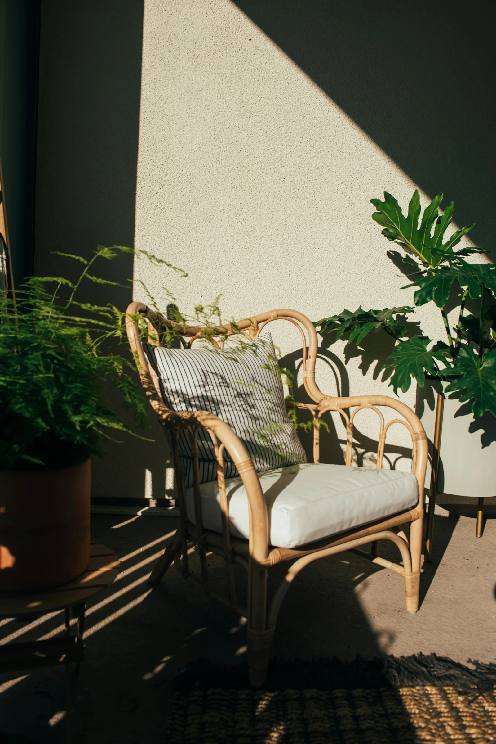 A rattan armchair with a striped cushion beside potted plants in warm late-afternoon sun