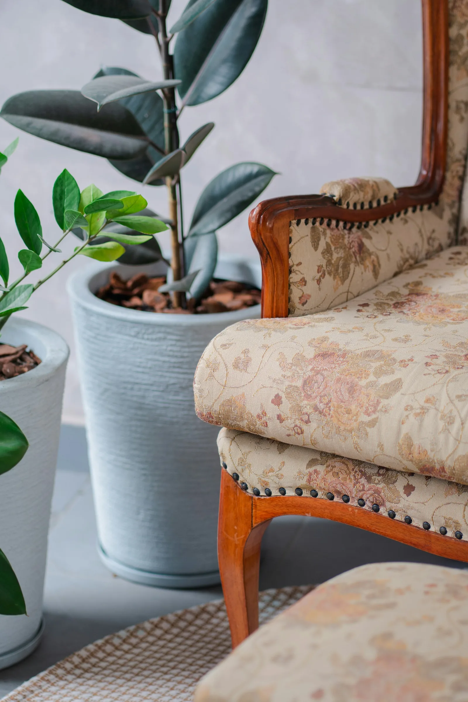 An antique carved-wood armchair with worn floral upholstery and studded trim beside potted plants