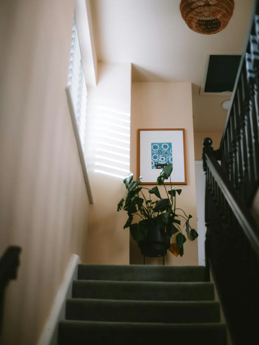 A staircase with a peach-toned wall, black balustrade, framed print, potted plant and rattan pendant