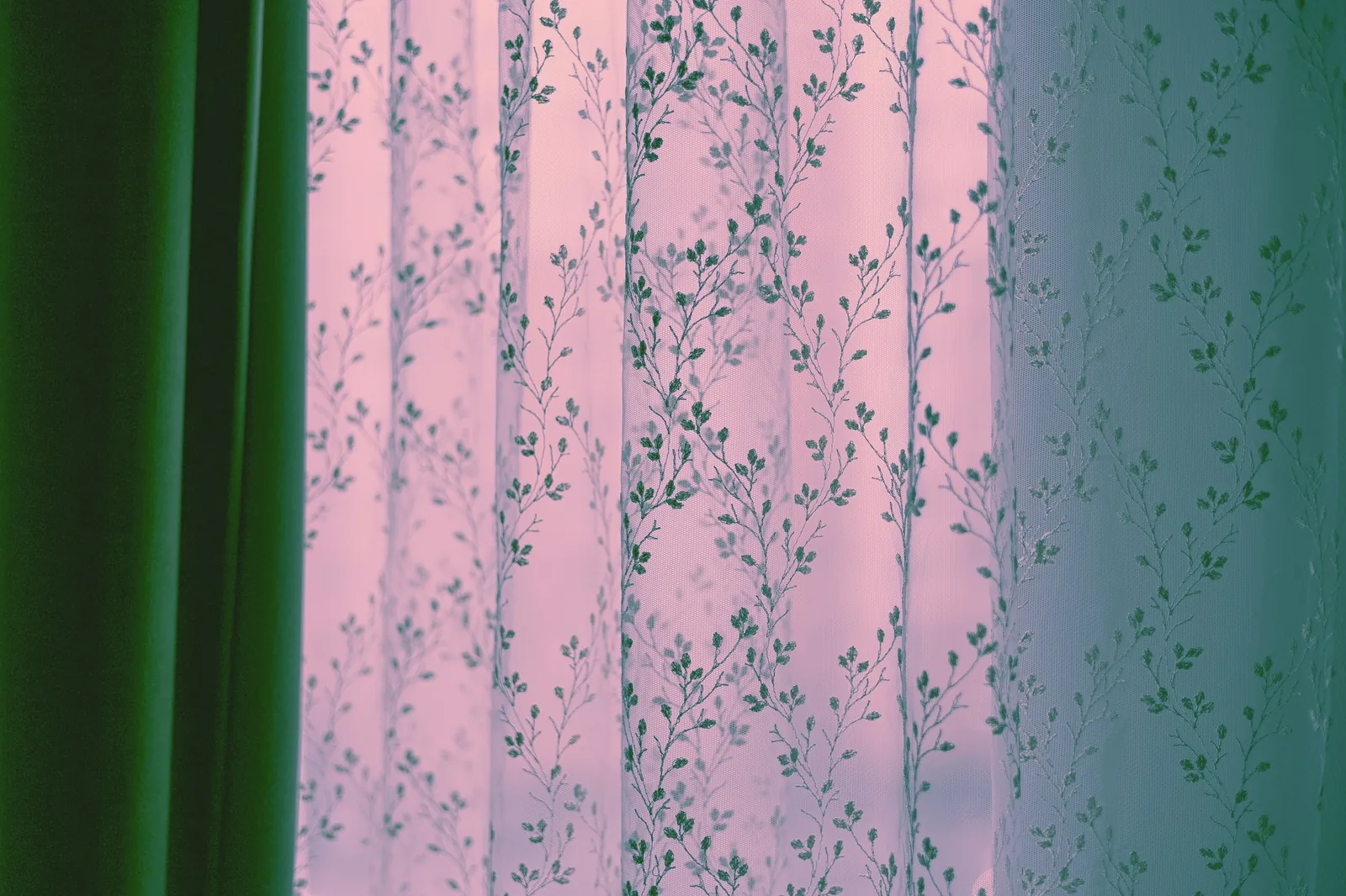 A sheer voile printed with climbing leaves layered beside a solid green curtain panel