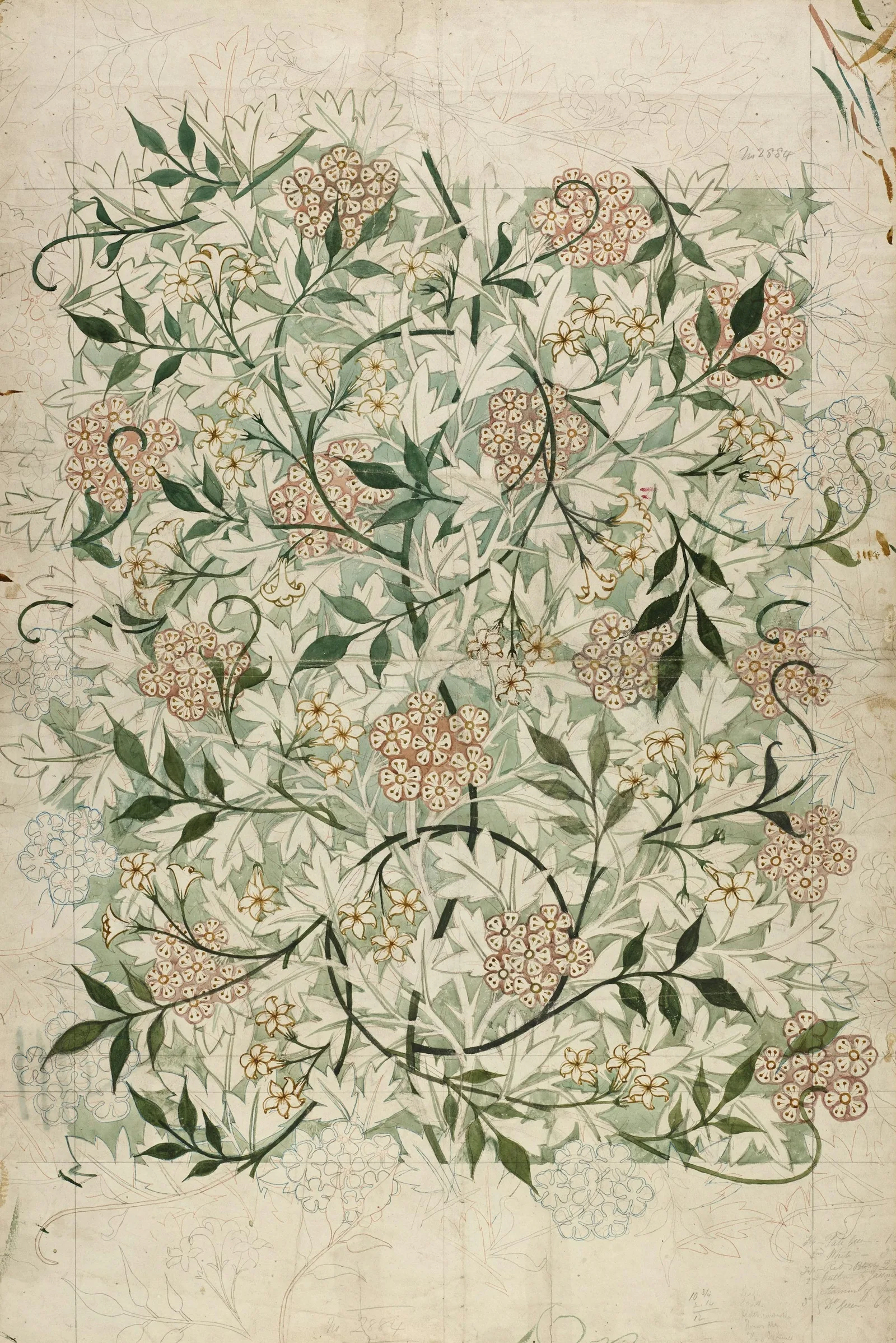 A historic hand-drawn floral wallpaper design of jasmine and leafy branches on aged cream paper
