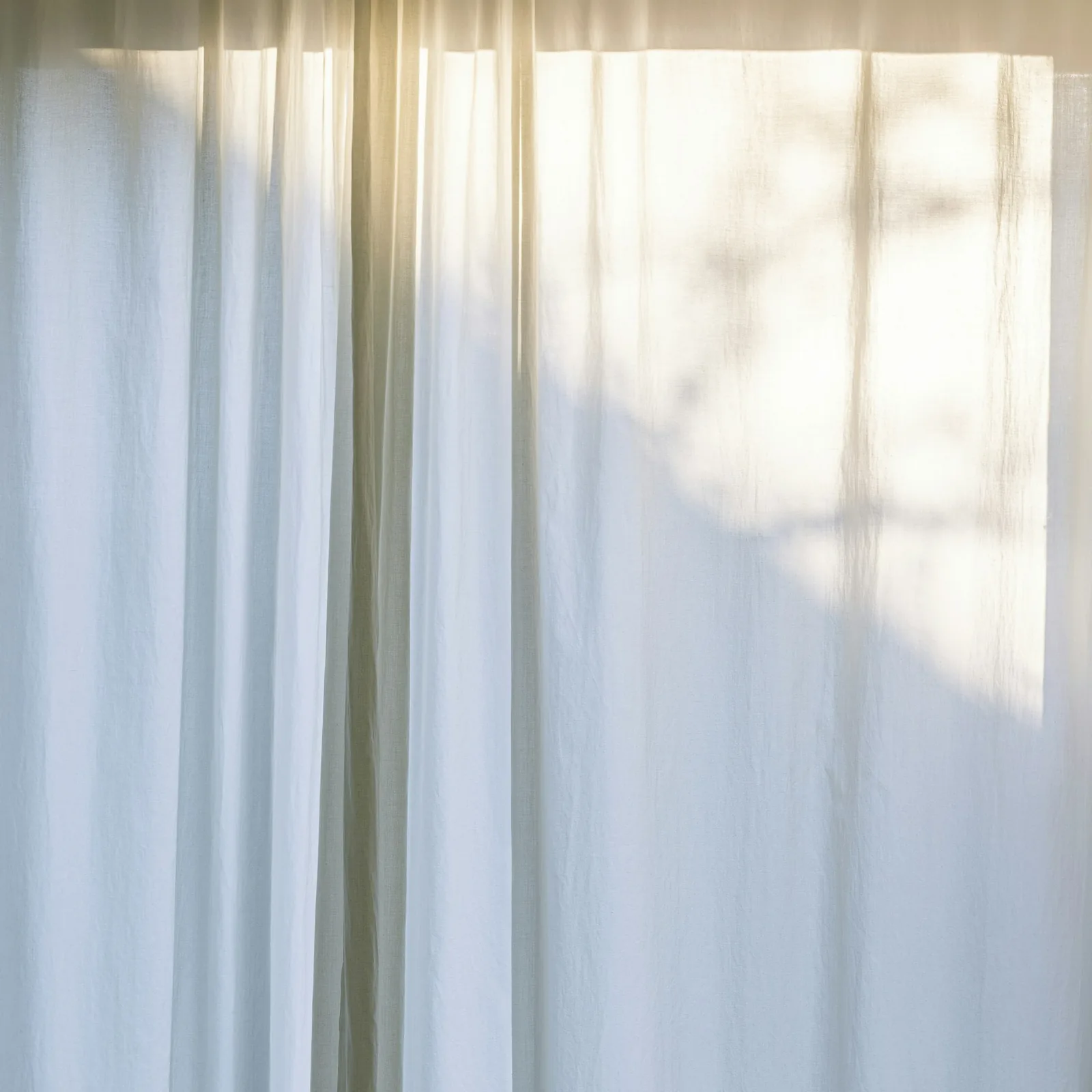 Soft white cotton curtains catching warm sunlight and the shadow of leaves outside the window