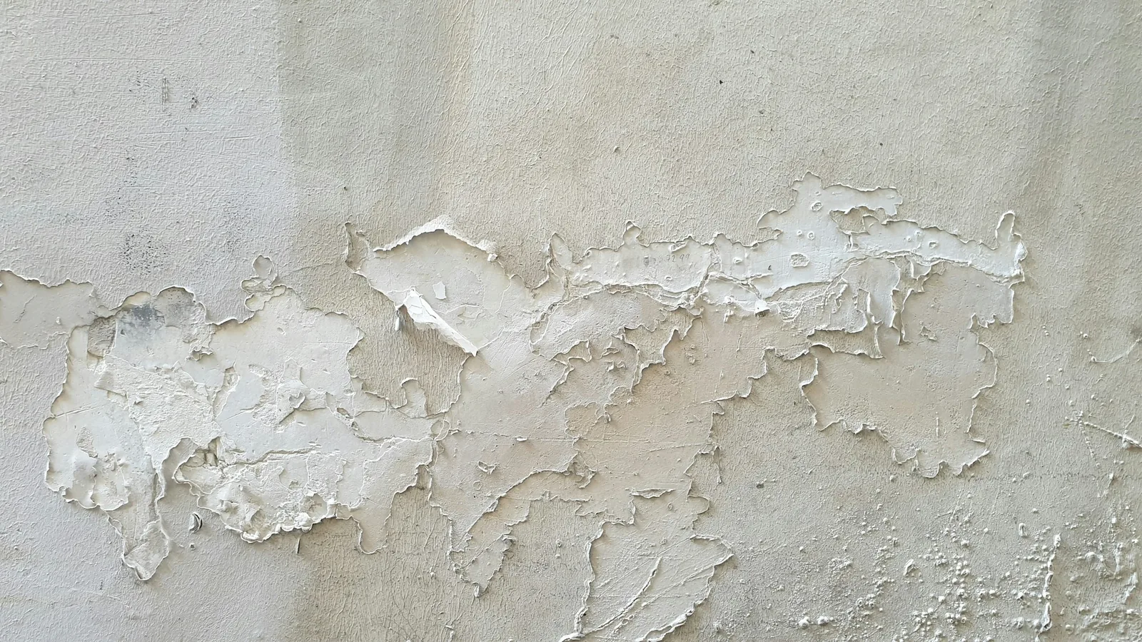 A pale plastered wall where white paint is blistering and flaking away in a powdery band