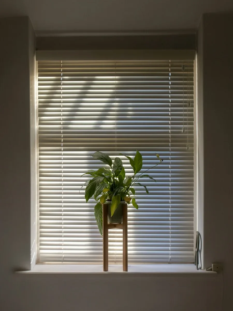 A fabric blind half-lowered in a bright, newly finished room with a potted plant
