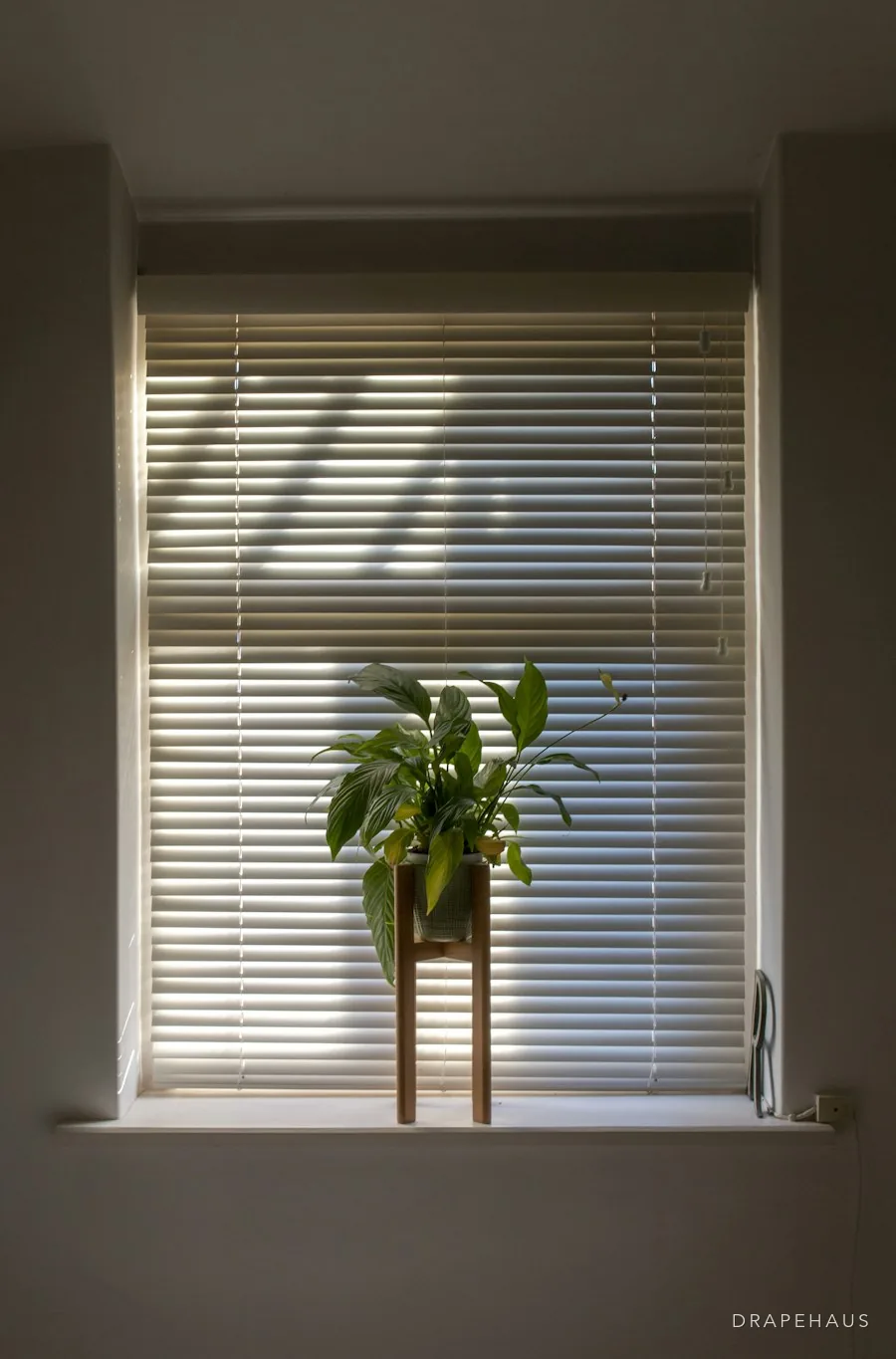 A fabric blind half-lowered in a bright, newly finished room with a potted plant